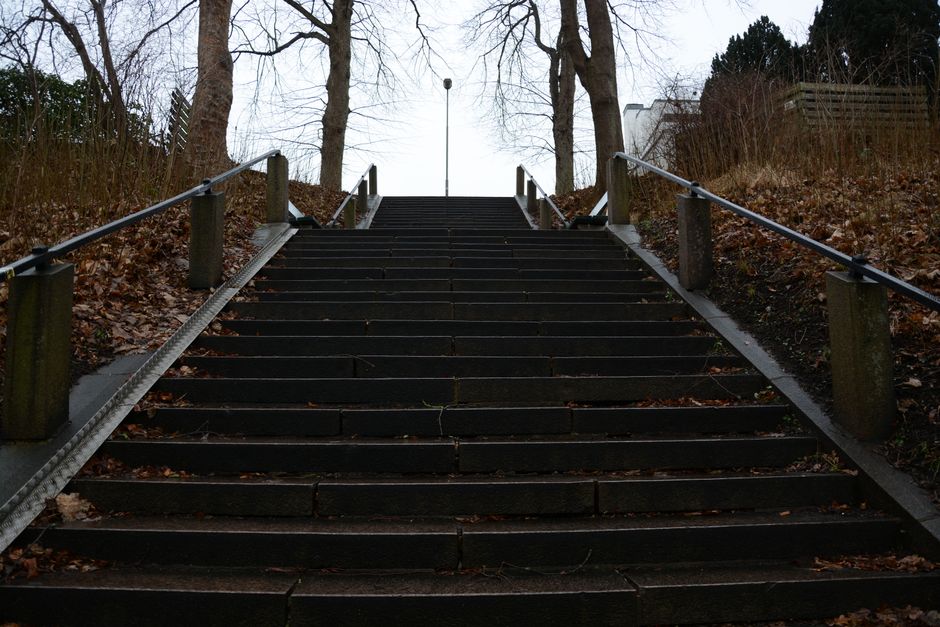 A set of outdoor wooden stairs with dark, weathered treads ascending through a park area surrounded by leafless trees and brown shrubbery on either side. The stairs are equipped with metal handrails on both sides, supported by concrete posts, and are damp with a few scattered fallen leaves. In the background, the top of the stairs opens to an overcast sky with some tree branches visible. The location appears to be part of a residential or urban landscape, where professional house removals or furniture transport may be required to navigate narrow or steep staircases during a home relocation, with the company Man with Van Brunswick Park handling such logistics.