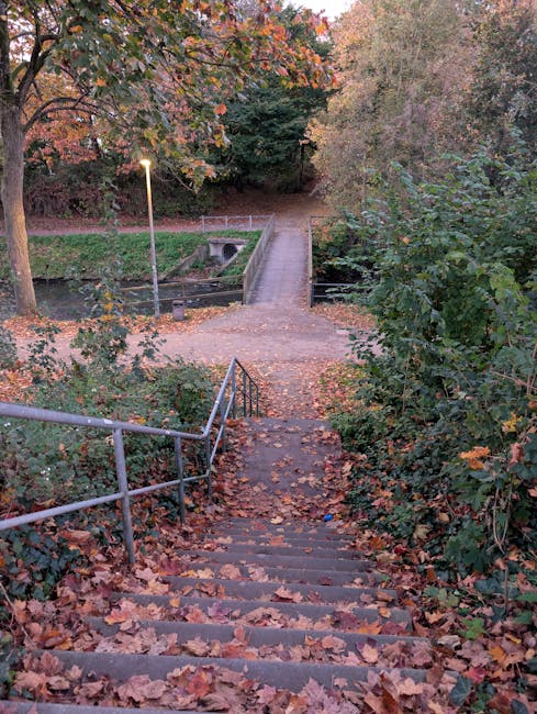 A set of outdoor wooden stairs with dark, weathered treads ascending through a park area surrounded by leafless trees and brown shrubbery on either side. The stairs are equipped with metal handrails on both sides, supported by concrete posts, and are damp with a few scattered fallen leaves. In the background, the top of the stairs opens to an overcast sky with some tree branches visible. The location appears to be part of a residential or urban landscape, where professional house removals or furniture transport may be required to navigate narrow or steep staircases during a home relocation, with the company Man with Van Brunswick Park handling such logistics.