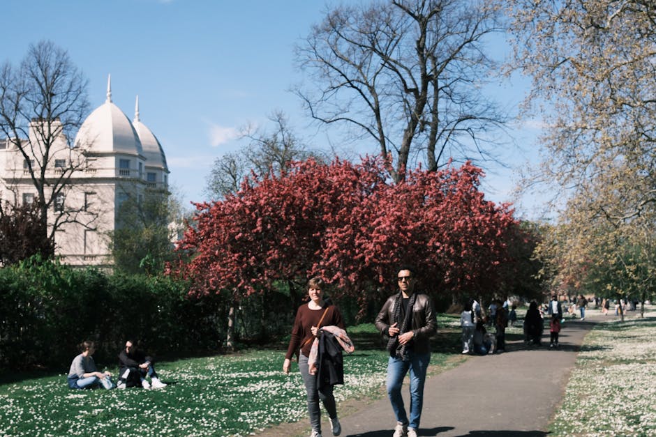 A daytime outdoor scene in Brunswick Park featuring a wide paved pathway bordered by grass and flowering trees. In the foreground, a woman wearing a brown sweater and grey pants is walking, holding a jacket and a bag, while a man dressed in a black leather jacket, jeans, and sunglasses is also walking alongside her. Behind them, a large bush with vibrant pink blossoms is visible, with more trees around, some without leaves indicating early spring. To the left, two people are seated on the grass, possibly resting or packing items, with one arranging belongings and the other looking at a phone. Further down the path, several individuals are walking or standing, some with luggage or backpacks, suggesting they are moving or commuting. In the background on the left, a historic white building with a rounded domed roof and spires can be seen, partially obscured by trees. The lighting is bright, with clear blue skies, and the environment appears peaceful, typical of a park setting suitable for casual walks or part of a home relocation process involving moving or packing activities near Brunswick Park, as highlighted by Man with Van Brunswick Park.