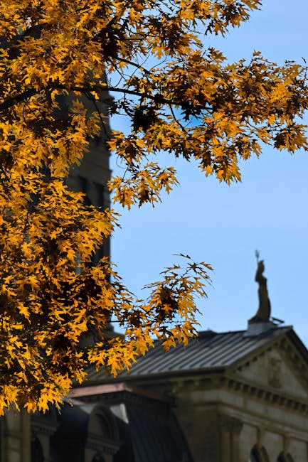 A close-up view of bright yellow and orange autumn leaves on the branches of a tree, partially obscuring a historic building with classical architectural features such as columns and decorative sculptures on the roof. The sky in the background is clear and blue. The building's details suggest it may be an institution or place of significance in Brunswick Park, as seen in the context of house removals and moving services. The image captures a tranquil outdoor scene relevant to the local environment before a home relocation or furniture transport process, with natural lighting highlighting the vivid fall foliage.