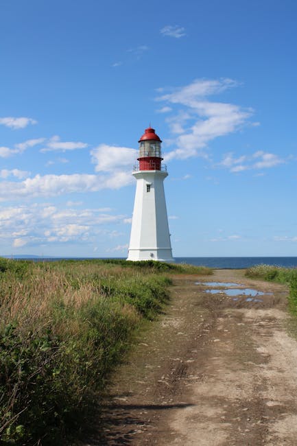 A tall white lighthouse with a red top stands on a grassy coastal area, with a dirt pathway leading up to it. Inside a property, visible at the bottom of the image, are several cardboard boxes, wooden furniture, and plastic-wrapped items arranged on the floor, indicating a home relocation and packing process. A moving trolley and packing blankets are also present nearby, with the background showing a blue sky with scattered clouds over the sea. The scene depicts furniture transport and loading activities associated with professional removals by Man with Van Brunswick Park, highlighting the logistics of house removals near the coast.